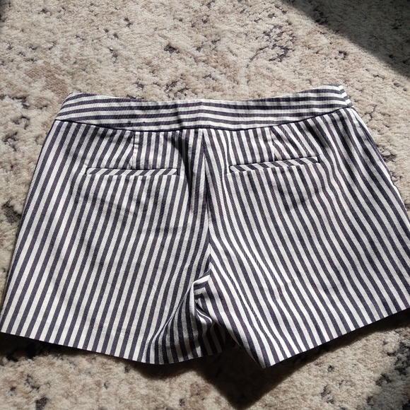Express Shorts - Picture 3 of 5